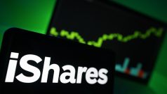 SKN | How Does the iShares Russell 2000 ETF Reflect the Outlook for U.S. Small-Cap Companies?