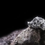 SKN | Platinum Futures Slide Nearly 4% in a Week as Precious Metals Face Renewed Pressure