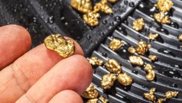 SKN | Is the Gold Miners ETF Becoming a Stronger Leveraged Play on Rising Gold Prices?