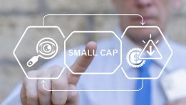 SKN | 3 Small-Cap Stocks Facing Important Questions From Investors