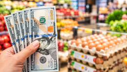 SKN | U.S. Consumer Sentiment Falls to 46.3 as Inflation Concerns Weigh on Household Confidence